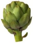 The artichoke.  Click for more information than you ever thought you wanted on artichokes.