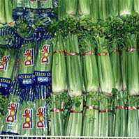 The attack of the celery people!