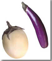 Eggplant.  Click to grow!