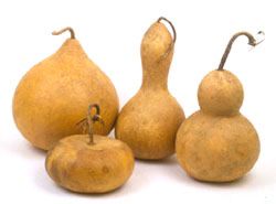 A handsome group of gourds