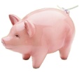 Pygg Clay
