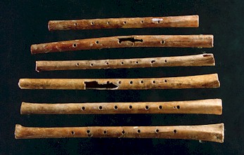 Ancient flutes.  Click to read the article in Nature.